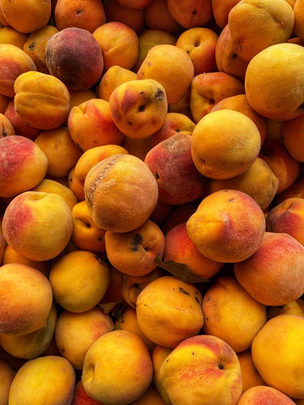 Techniques de pêche nocturne en camping : quel matériel et quelles stratégies adopter ?