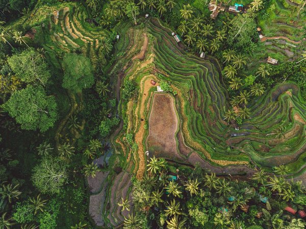 Où trouver des ateliers de fabrication de bijoux artisanaux en argent à Bali ?