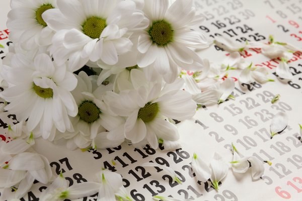 Conseils sur les voyages: optimisez vos périples